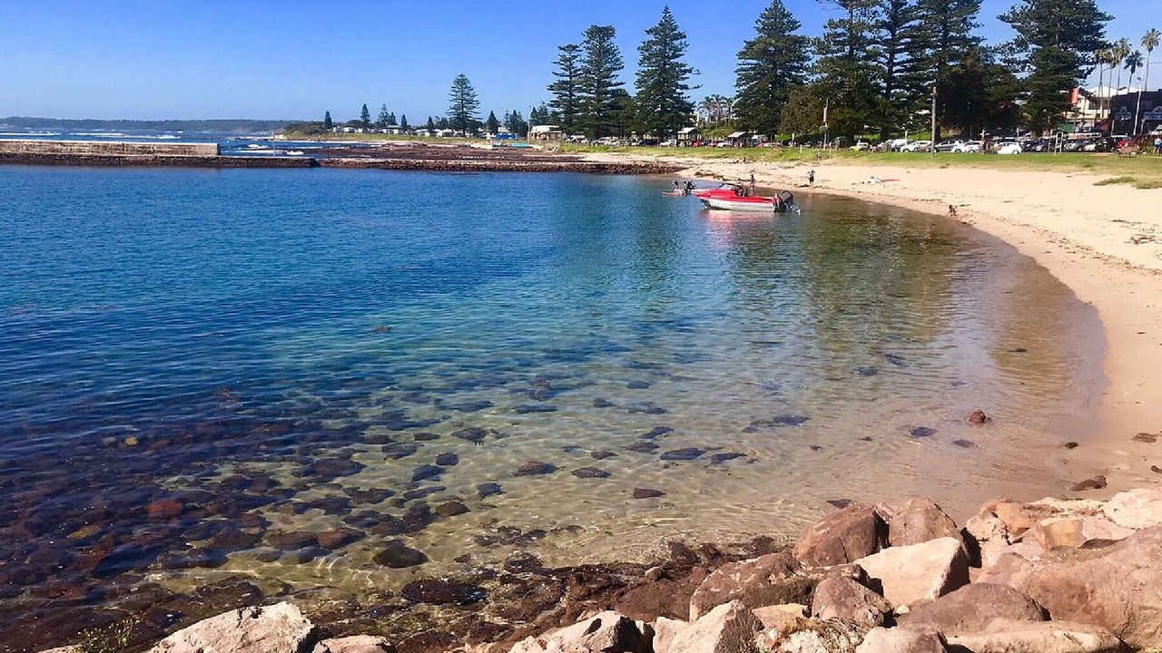 Photo of Others in Warilla