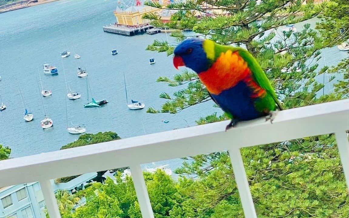 Photo of Outdoor in Lavender Bay
