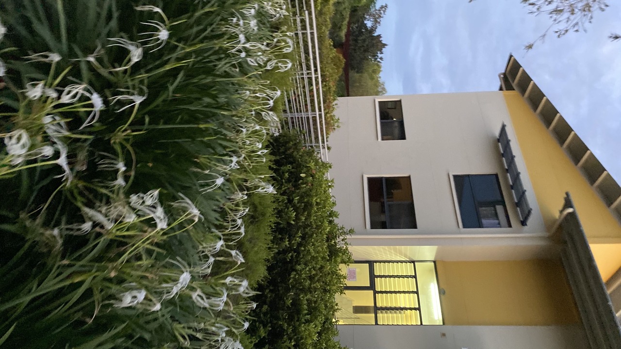 Photo of Outdoor in Stuart Park