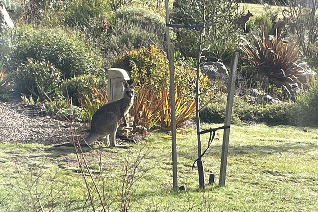 Photo of Others in Glenlyon