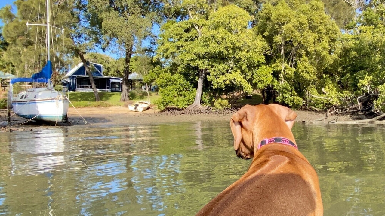 Photo of Others in Brisbane Waterfront