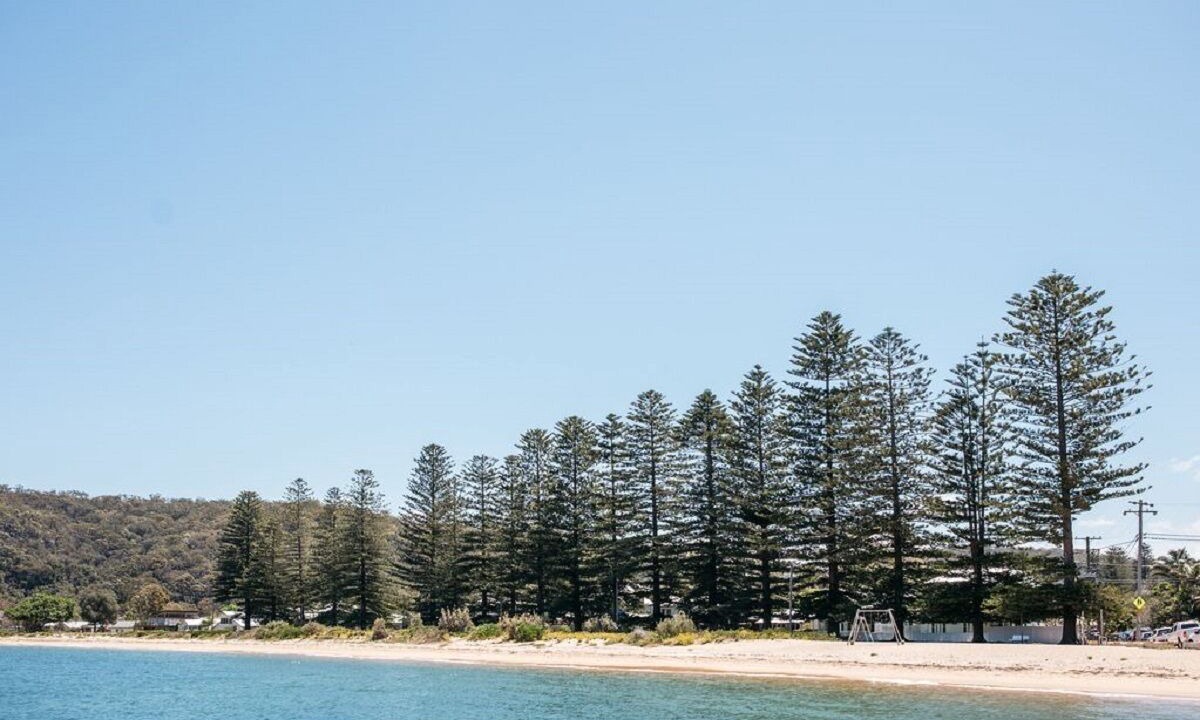 Photo of Others in Patonga