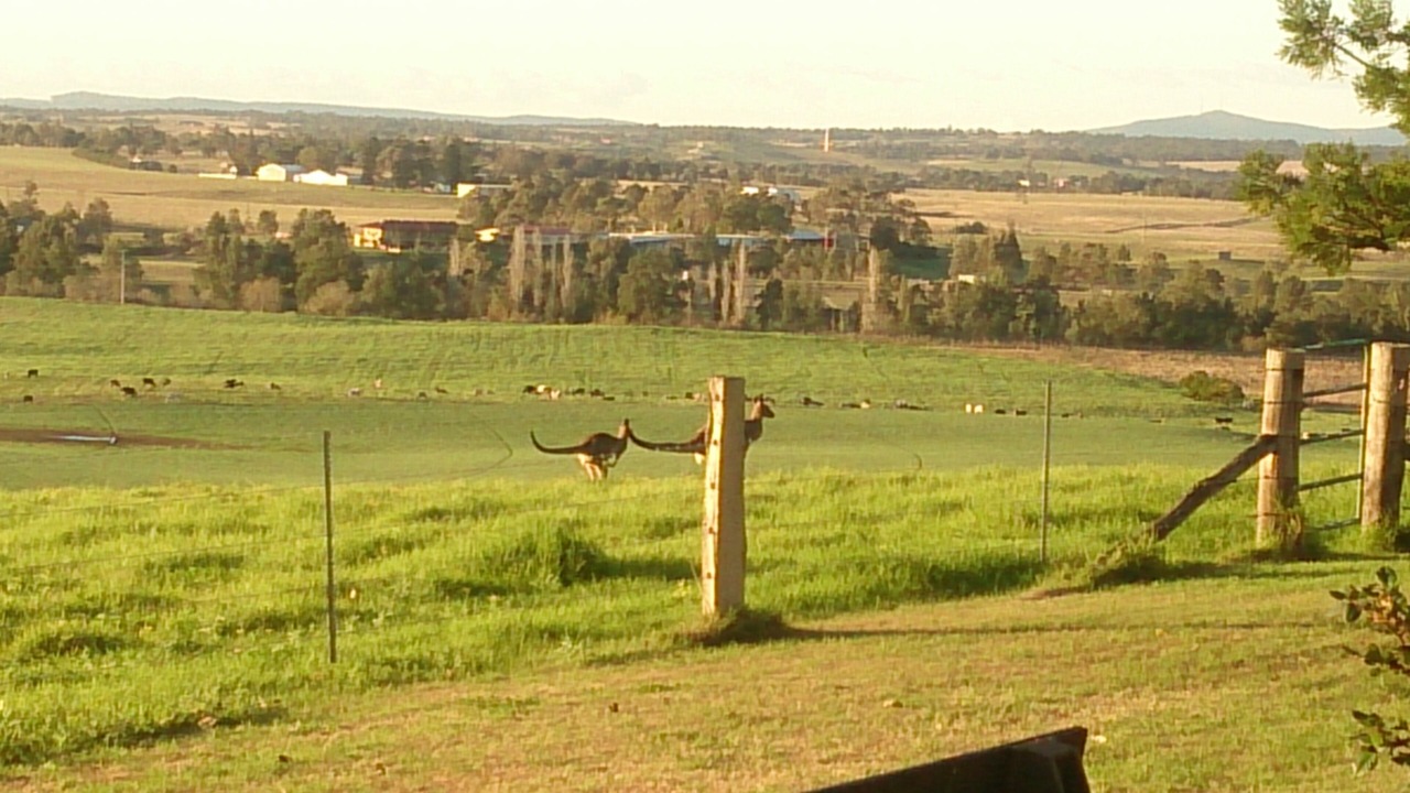 Photo of Others in Leconfield