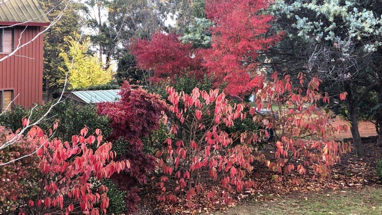 Photo of Outdoor in East Jindabyne