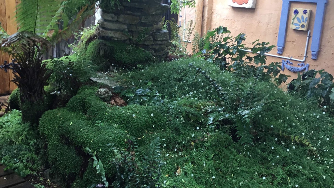 Photo of Outdoor in Tantanoola