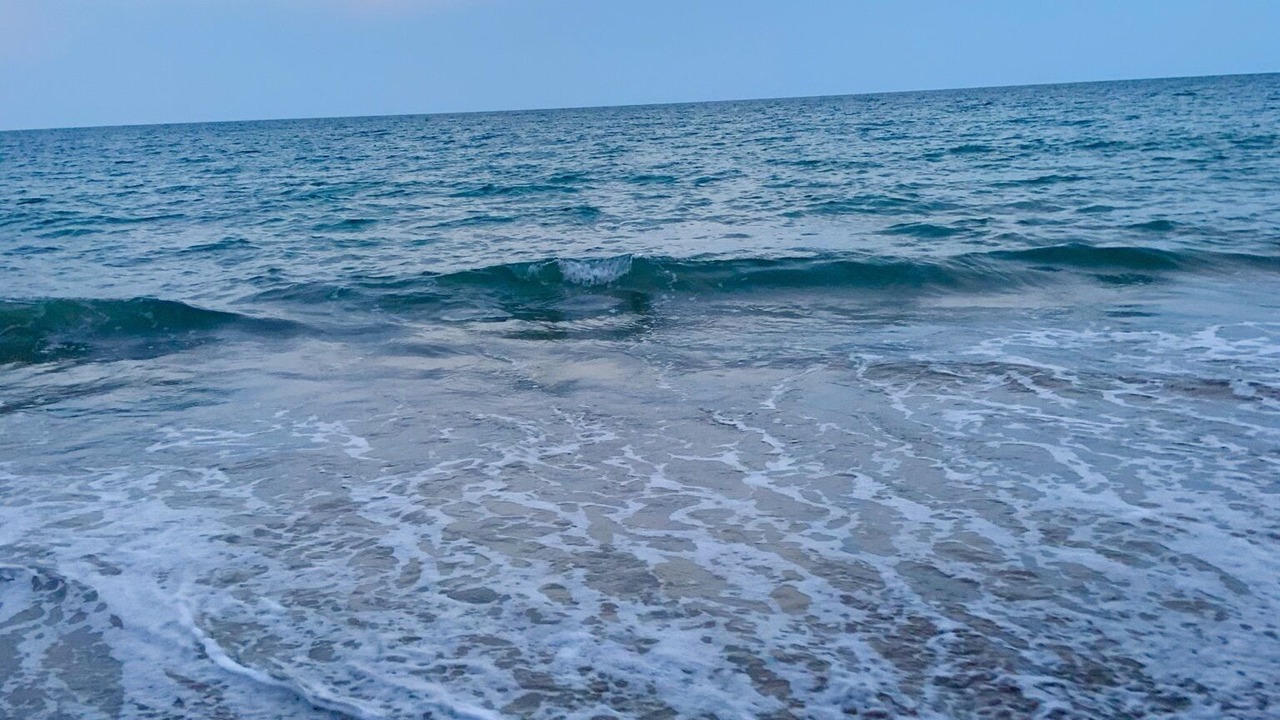 Photo of Others in Etty Bay