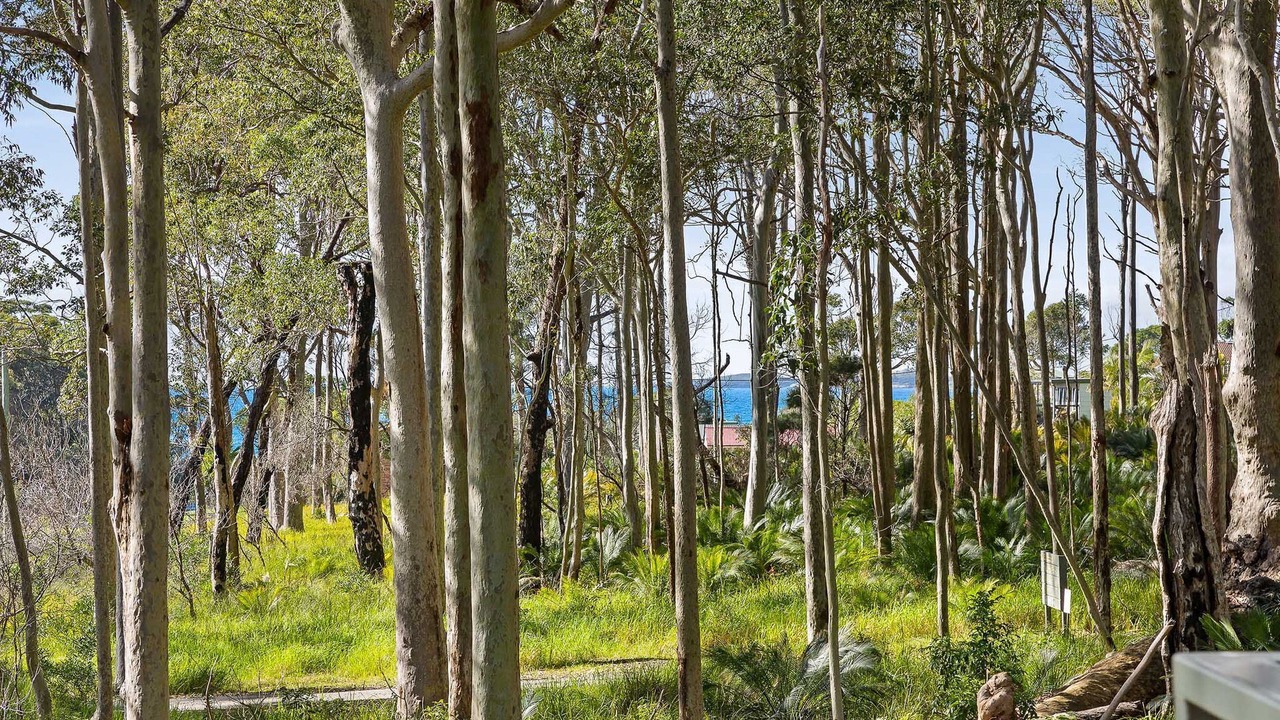 Photo of Outdoor in Mystery Bay