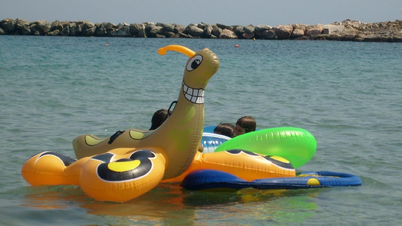 Photo of Others in Vari