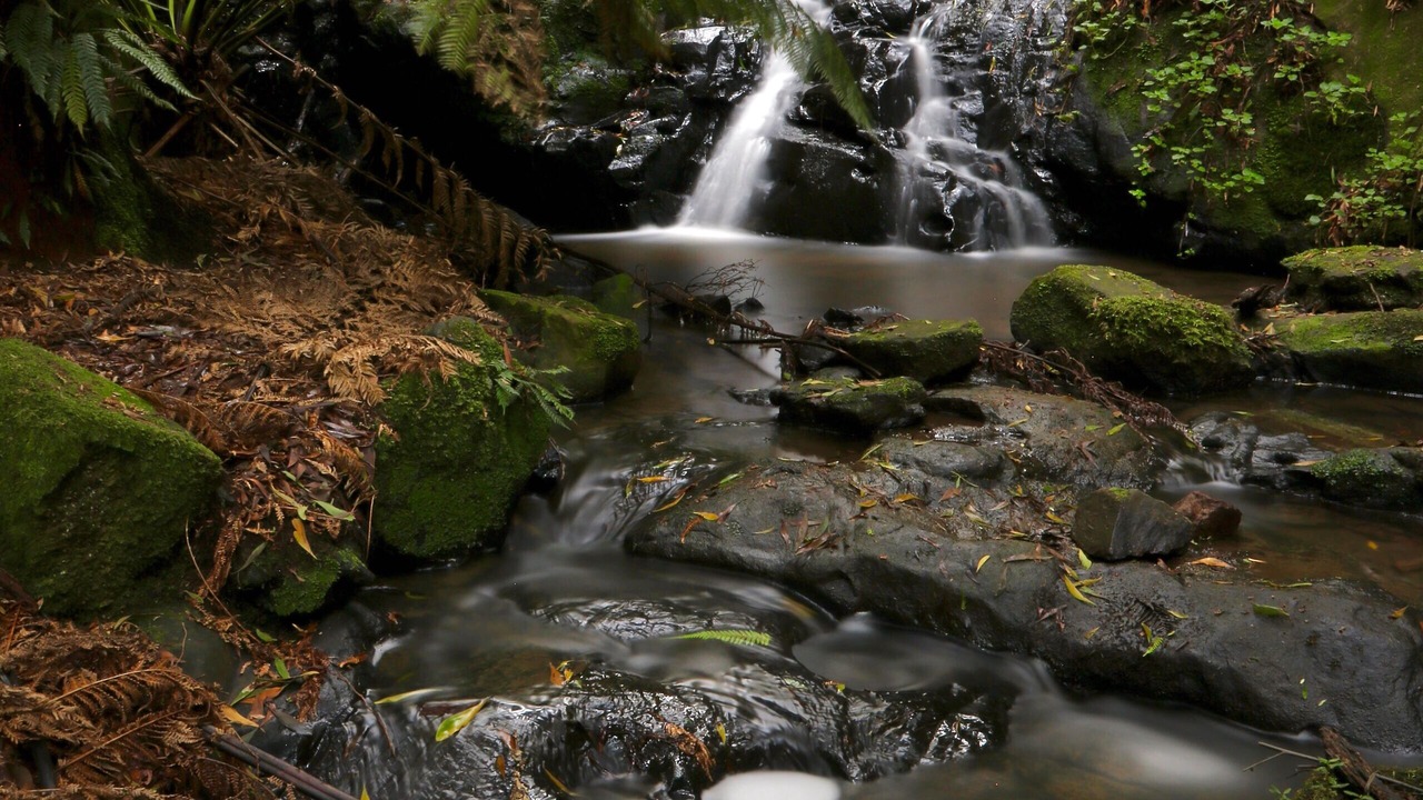 Photo of Others in Skenes Creek North