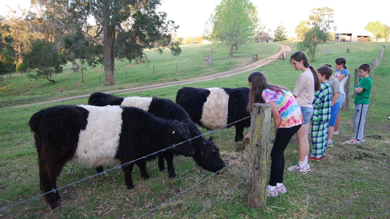 Photo of Others in Moruya