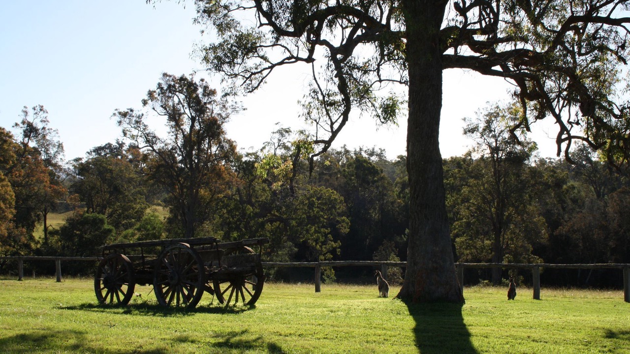 Photo of Outdoor in Moruya