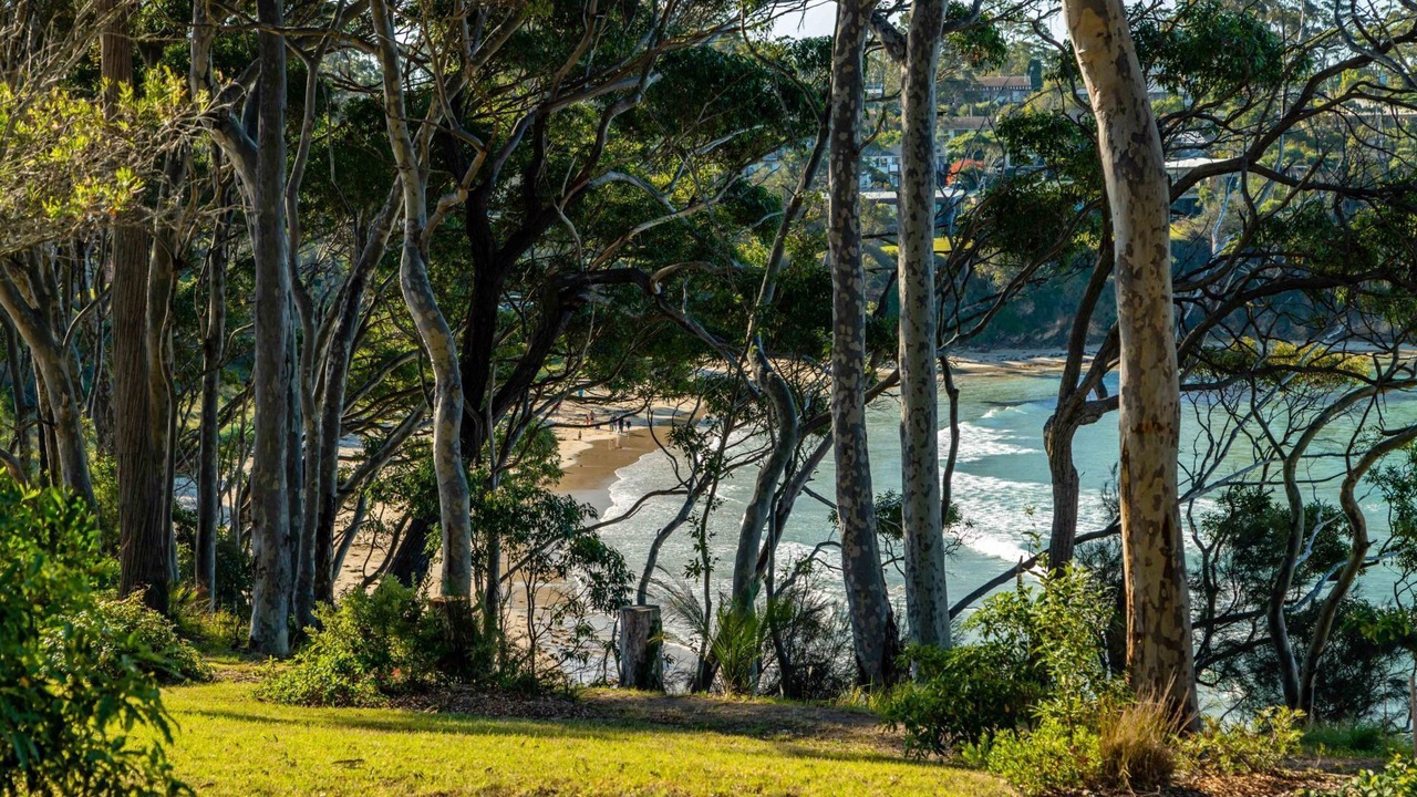 Photo of Outdoor in Denhams Beach