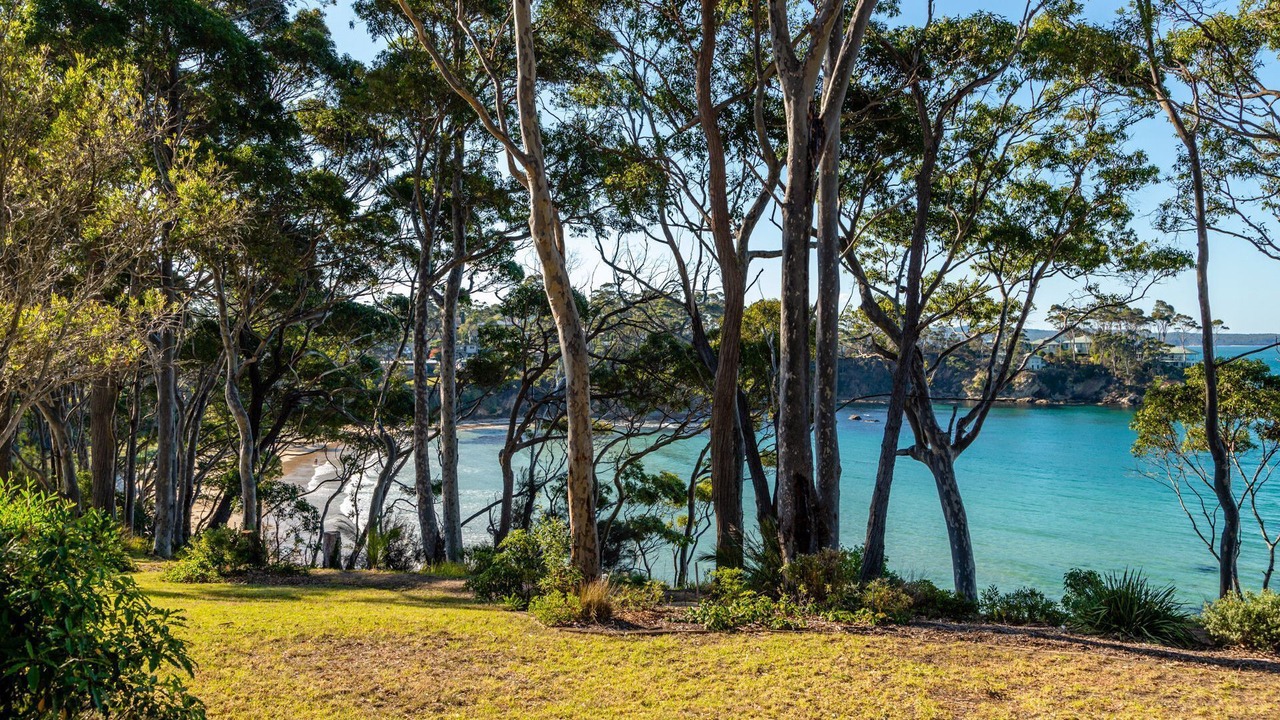 Photo of Outdoor in Denhams Beach