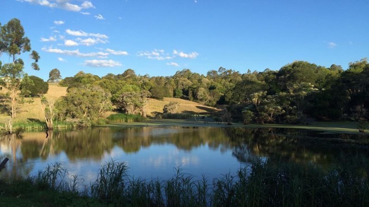 Photo of Outdoor in Tinonee