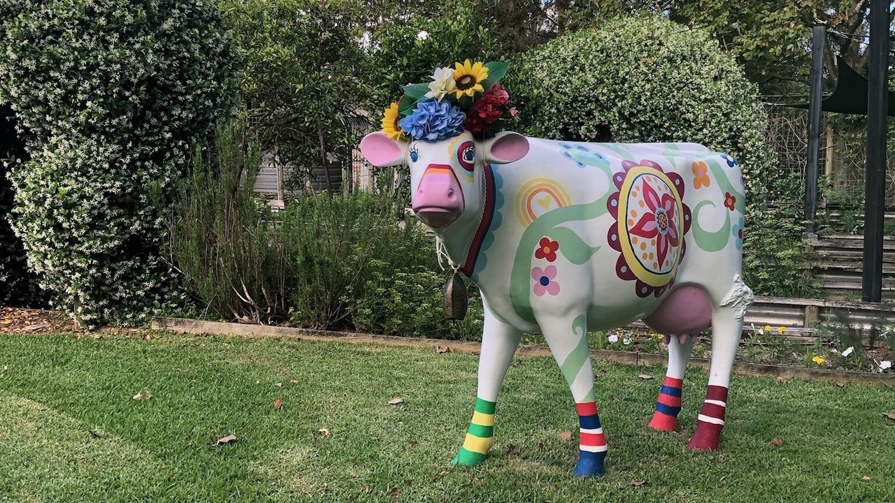 Photo of Outdoor in Tinonee