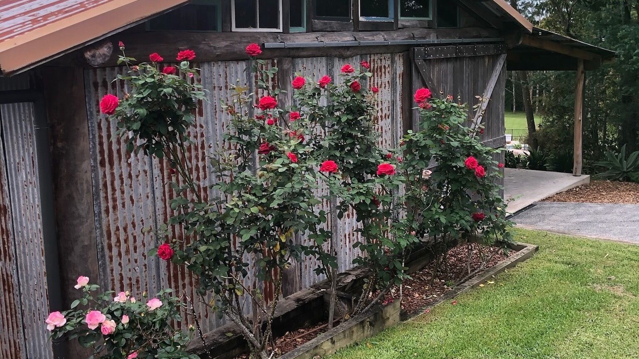 Photo of Outdoor in Tinonee