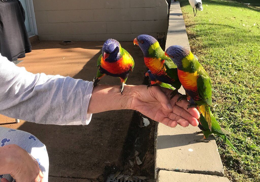 Photo of Outdoor in Advancetown