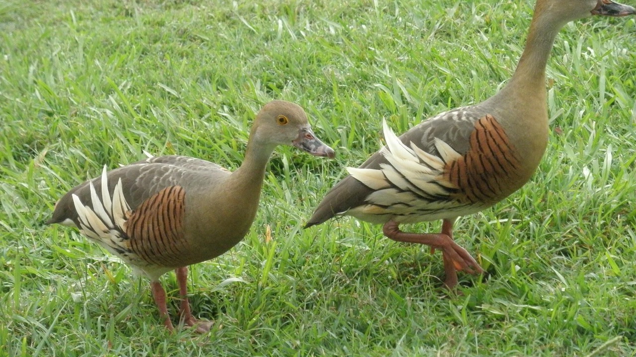 Photo of Outdoor in Advancetown
