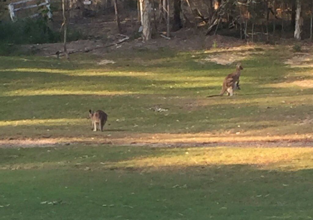 Photo of Others in Advancetown