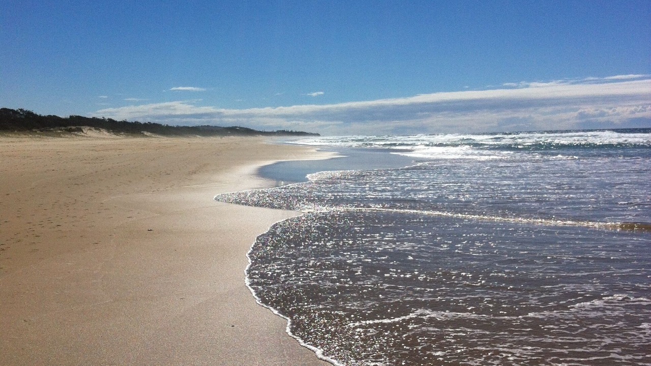 Photo of Others in Mount Coolum