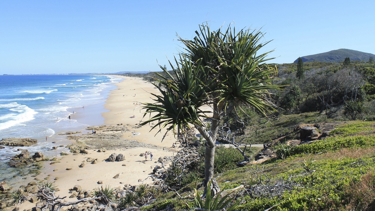 Photo of Others in Mount Coolum