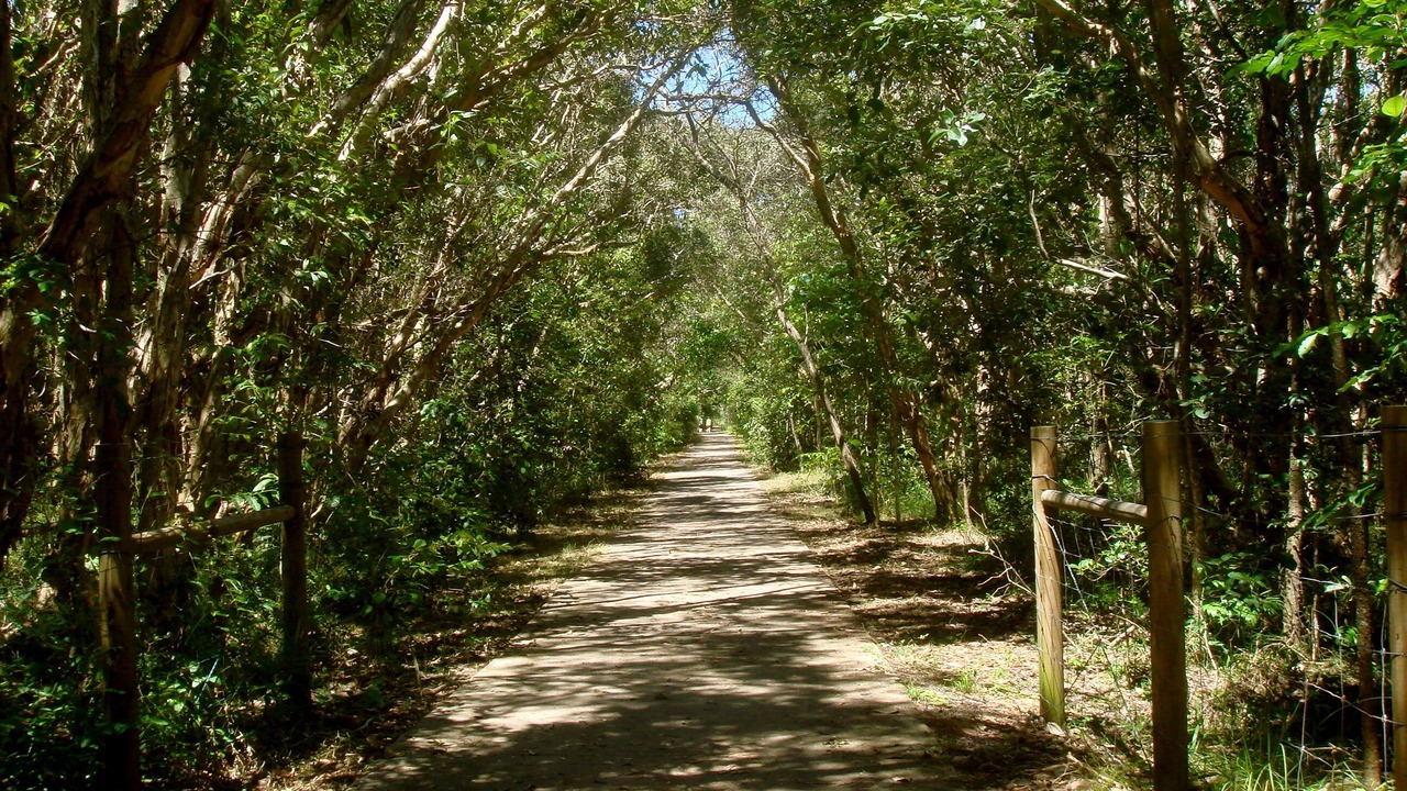 Photo of Others in Mount Coolum