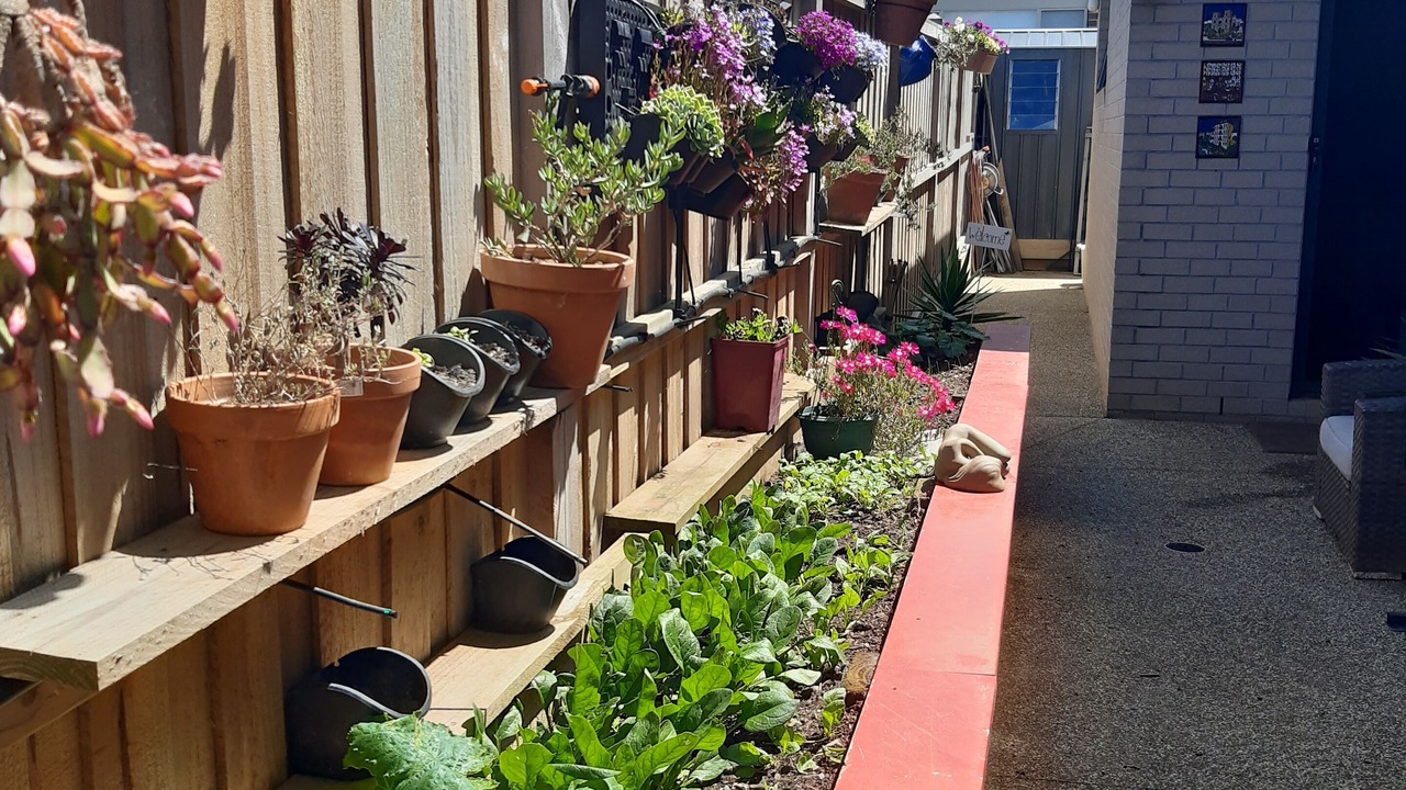 Photo of Outdoor in Curlewis