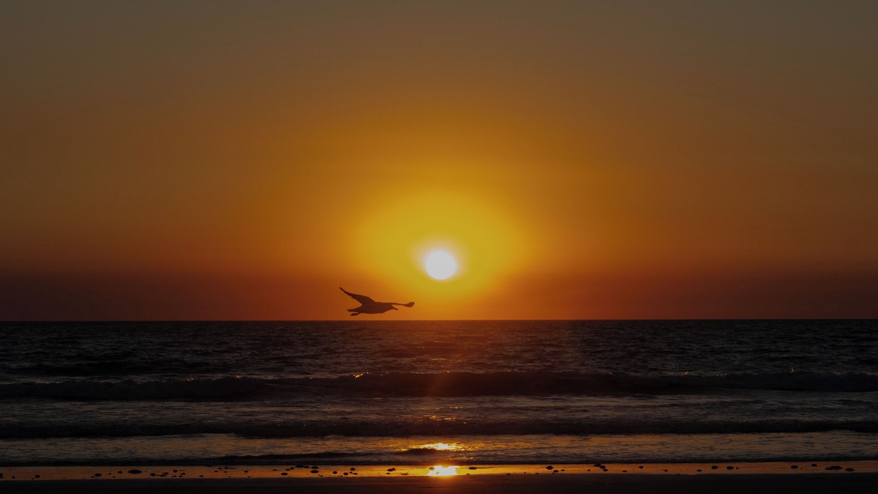 Photo of Others in Cable Beach