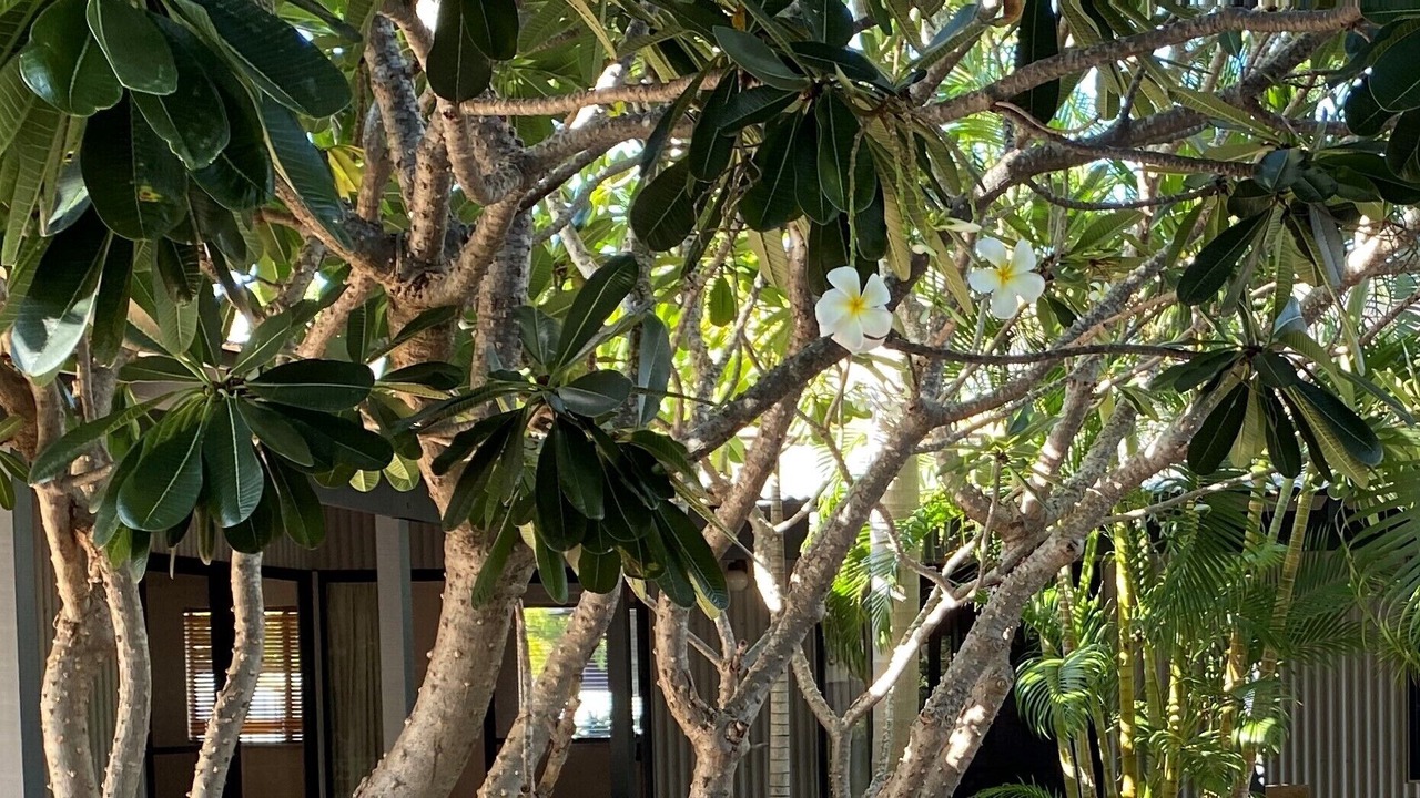 Photo of Outdoor in Cable Beach