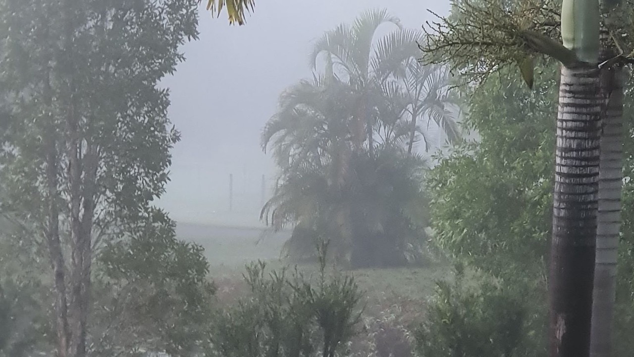 Photo of Outdoor in Palmwoods