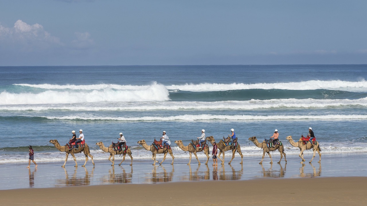 Photo of Others in Salamander Bay