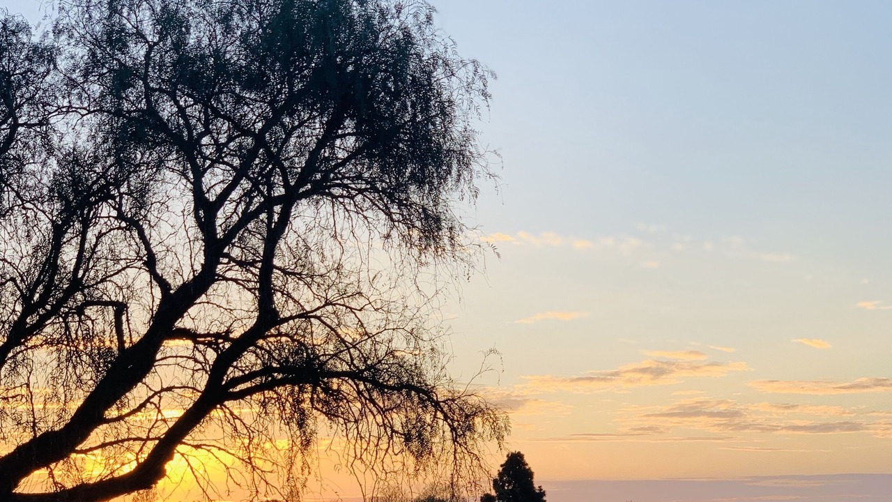 Photo of Others in McLaren Vale