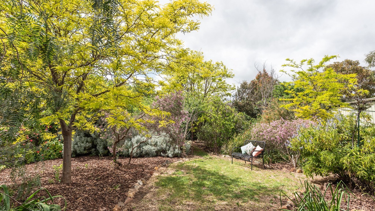 Photo of Outdoor in McLaren Vale