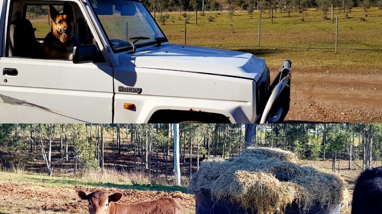 Photo of Others in Hunter Valley