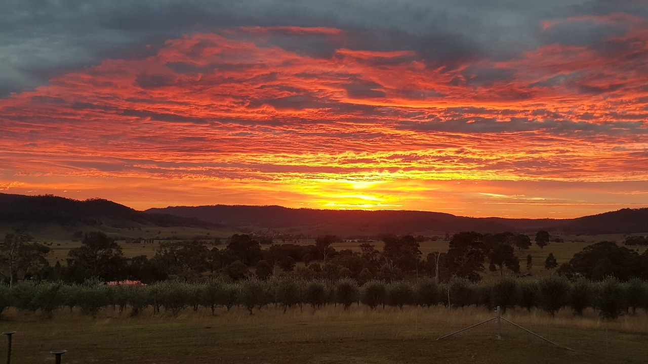 Photo of Others in Hunter Valley