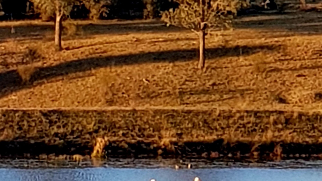 Photo of Others in Hunter Valley
