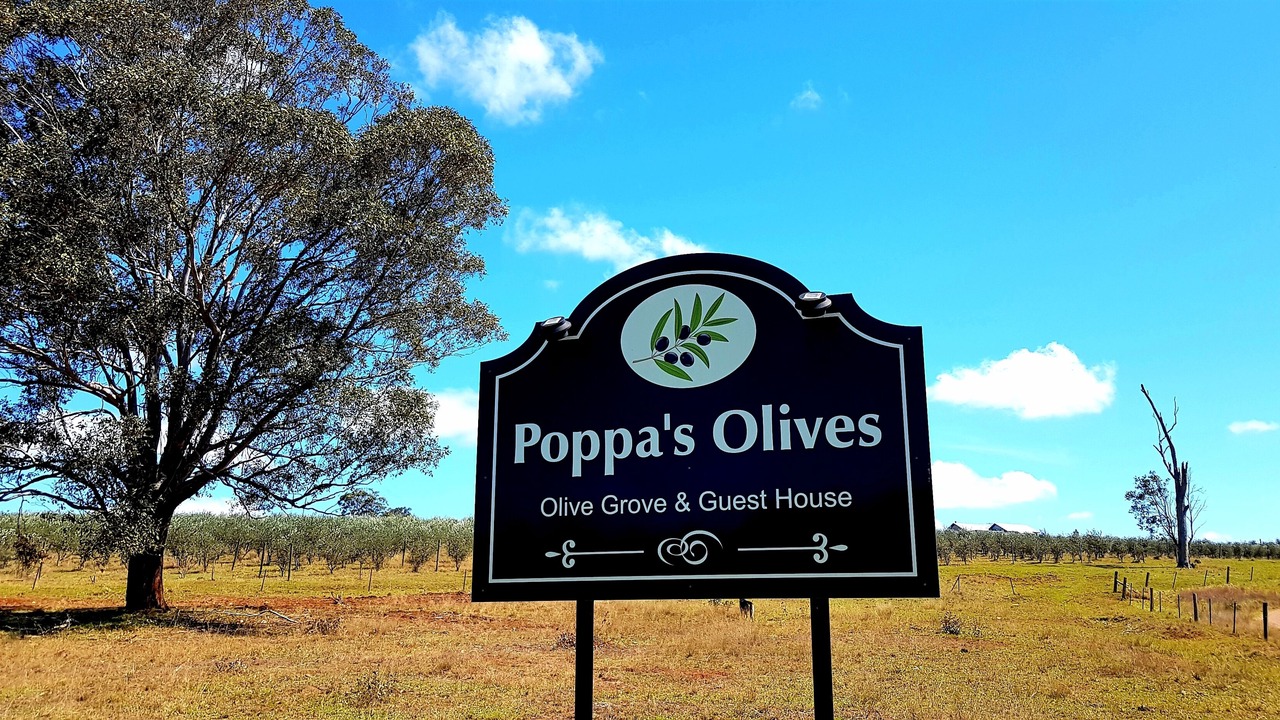 Photo of Others in Hunter Valley