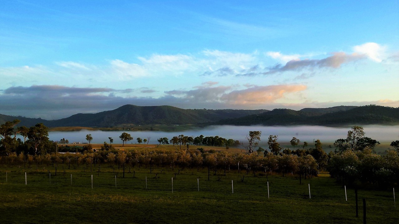 Photo of Others in Hunter Valley