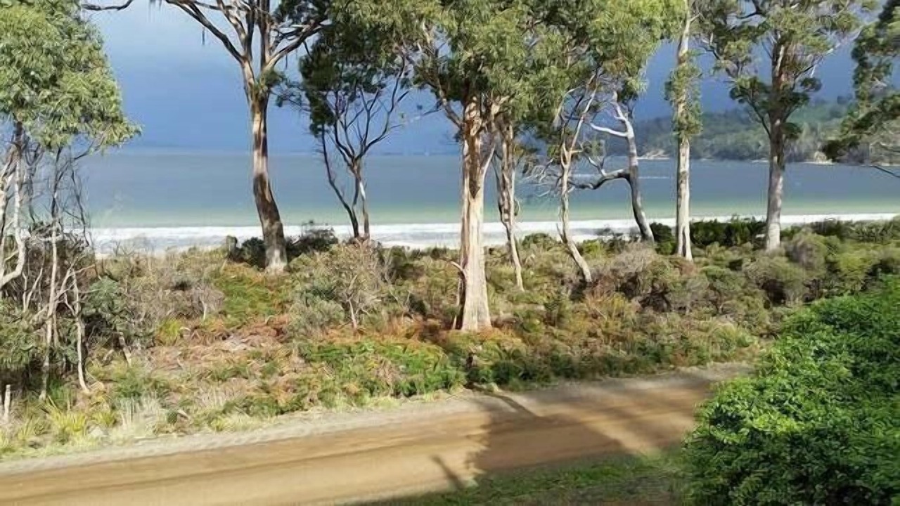 Photo of Others in Surveyors Bay