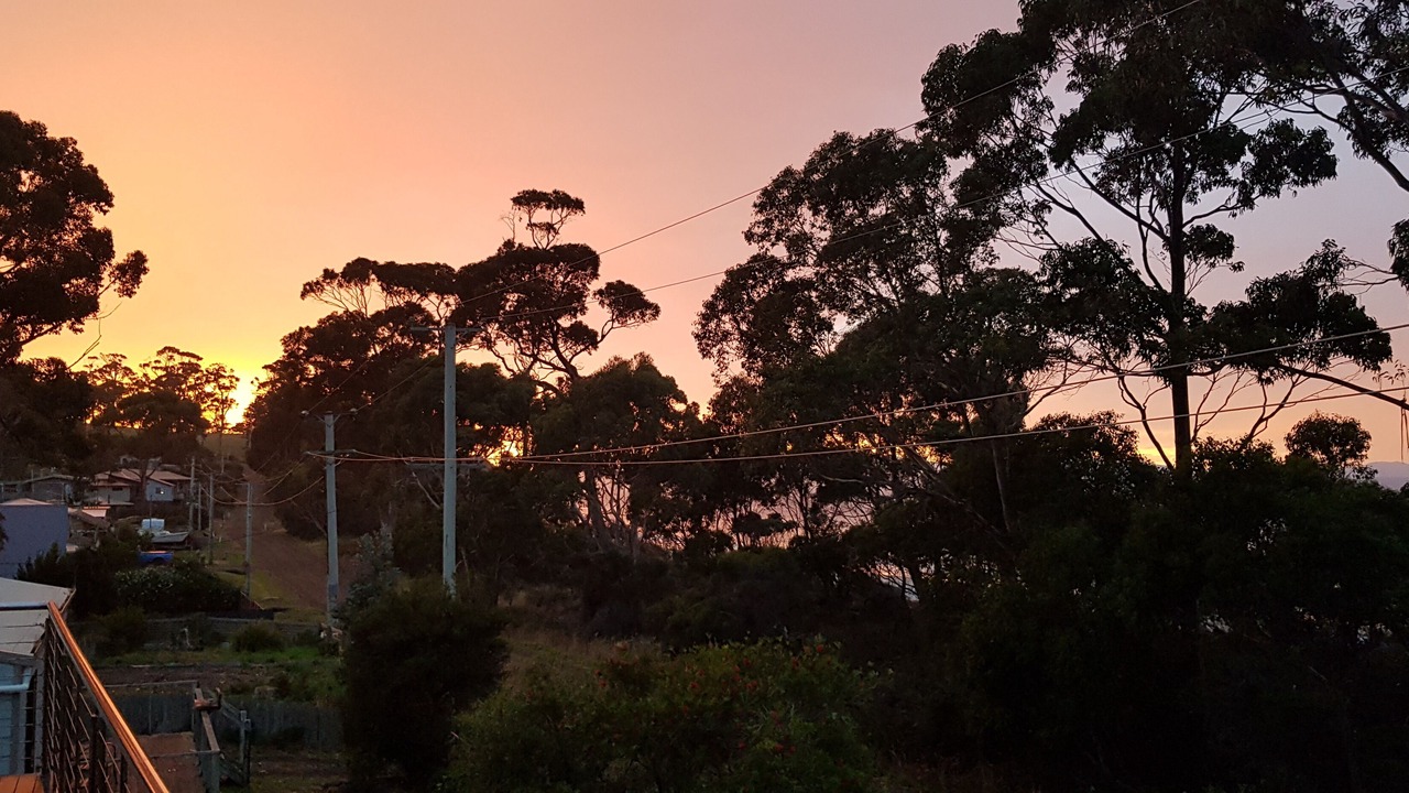 Photo of Others in Surveyors Bay