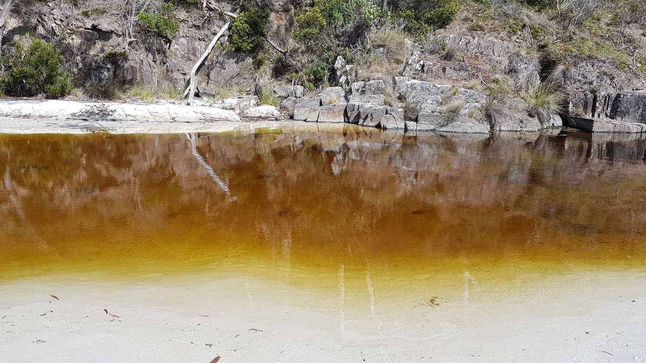 Photo of Outdoor in Surveyors Bay