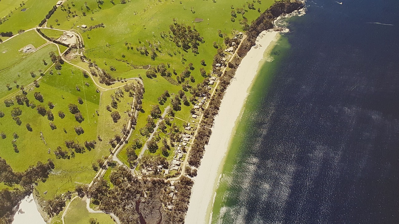 Photo of Others in Surveyors Bay