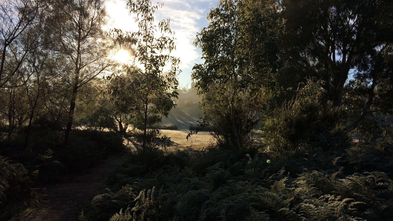 Photo of Others in Halls Gap