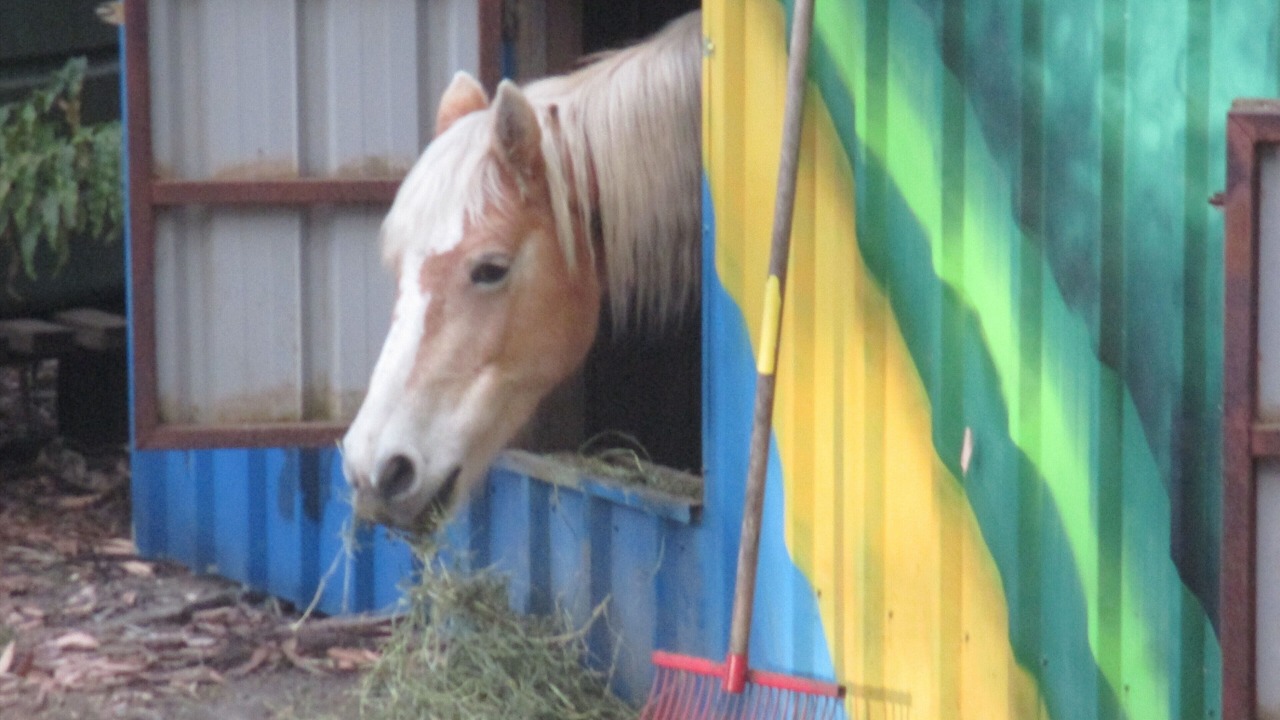 Photo of Others in Valla