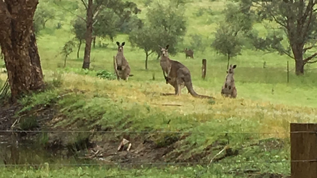 Photo of Outdoor in Hepburn
