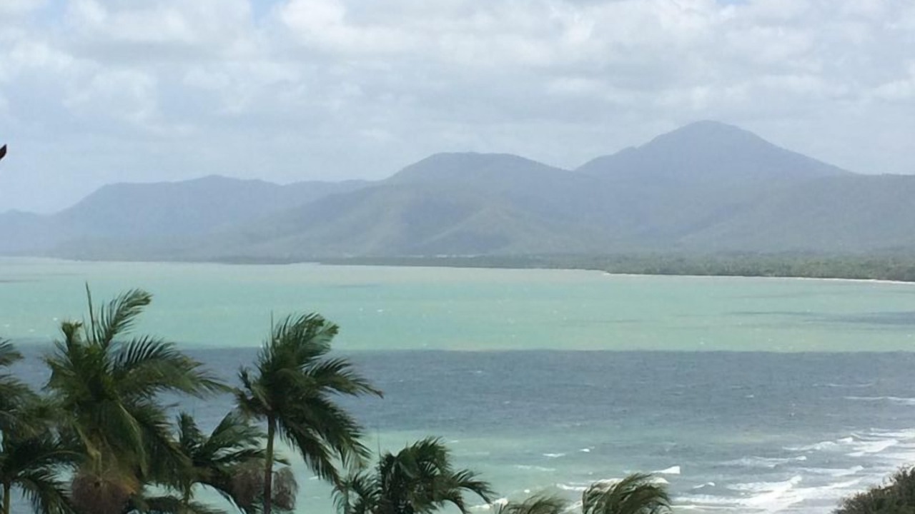 Photo of Others in Port Douglas