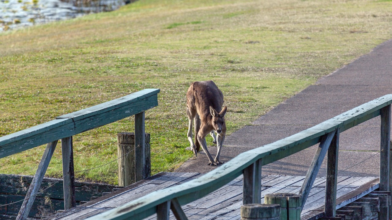 Photo of Others in Salamander Bay
