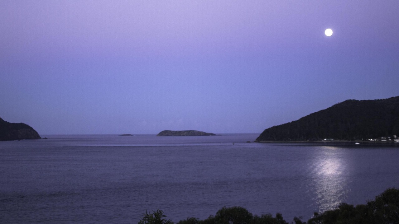 Photo of Others in Salamander Bay