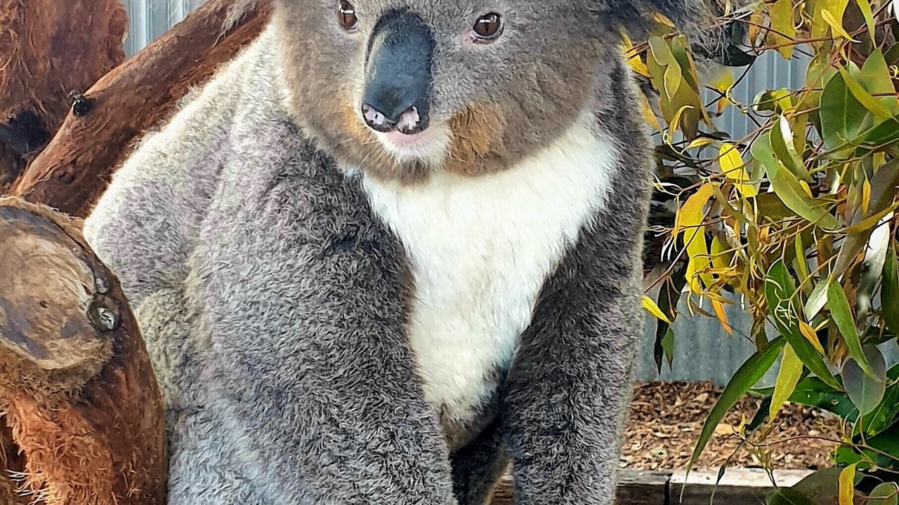 Photo of Others in Lovedale