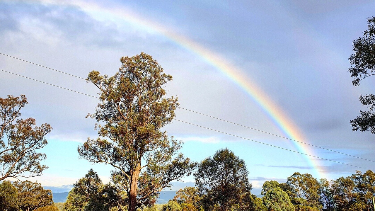 Photo of Others in Lovedale